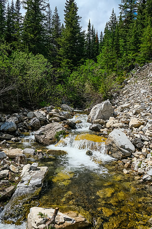 Cliff Creek.