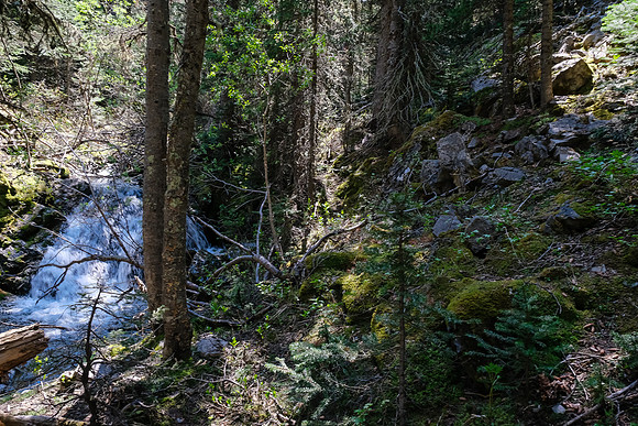 Hiking up along Cliff Creek.