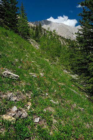 Views back to Gibraltar from the exit traverse.