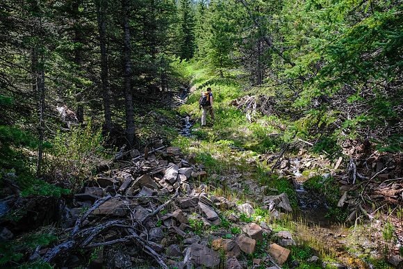 Traversing a feeder creek paralleling the east slopes of Mist Ridge.