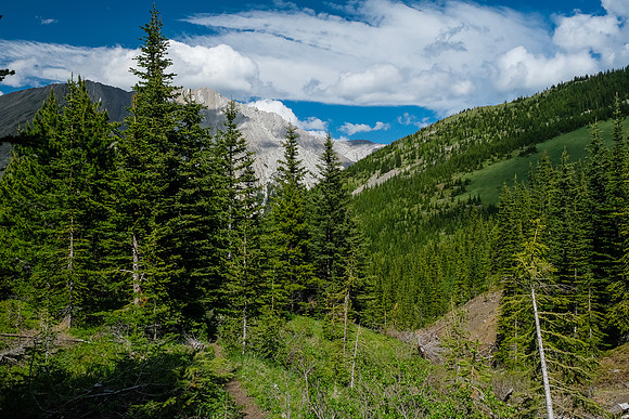 View back down the feeder creek to Gibraltar.
