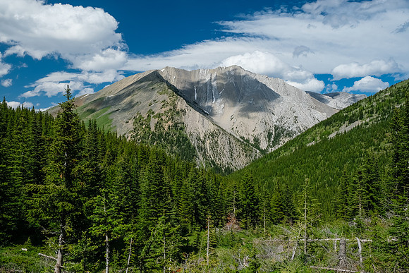 View back down the feeder creek to Gibraltar.