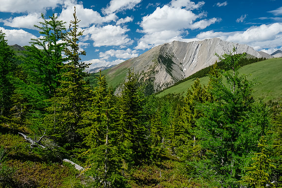 View back down the feeder creek to Gibraltar.