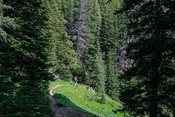 Wietse hikes the Mist Ridge Trail.