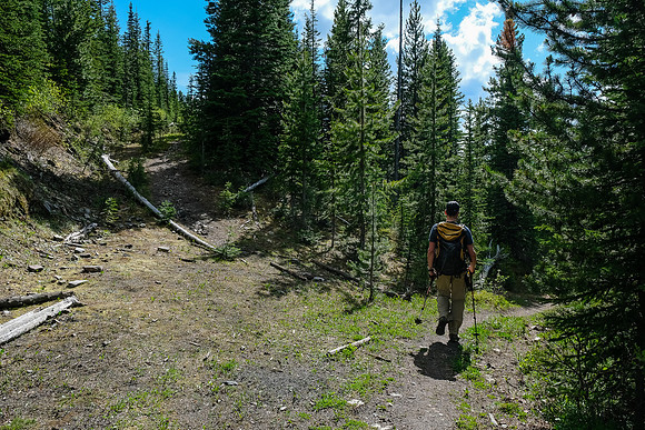 The trail to the Mist Hills goes up to the left here.