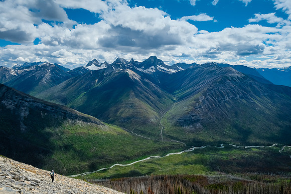 Descending back to the avalanche path.