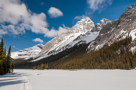 On the Burstall Ponds with Commonwealth looming high above.