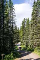 Hiking back along the Powerline Trail to the Elk Pass trail head.