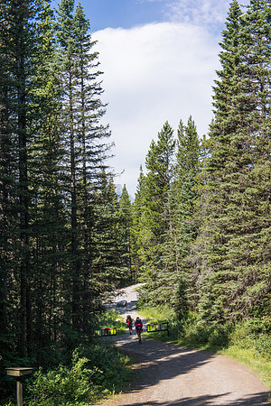 Hiking back along the Powerline Trail to the Elk Pass trail head.