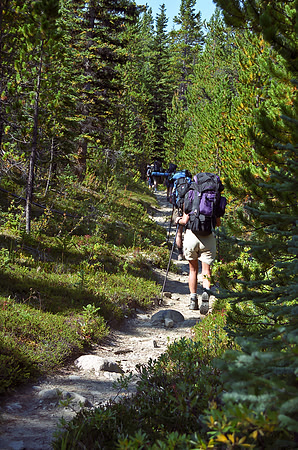 The trail starts gaining height quite soon from the Maligne Lake parking lot.