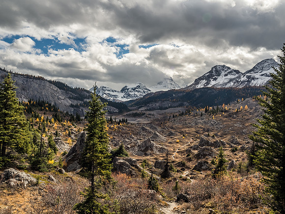 One of my favorite images from the approach shows the Valley of the Rocks just before Og Lake, Mount Assiniboine looming in clouds beyond at center. Nub Peak at right.