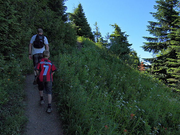 The wild flowers were amazing - and very prolific!