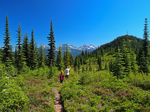 Hiking from the middle bump to Thurston Mountain. There was a few beautiful meadows on this stretch.