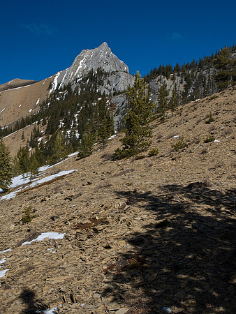 On the south ridge.