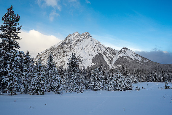 Snowshoeing back towards the Kananaskis Lakes.