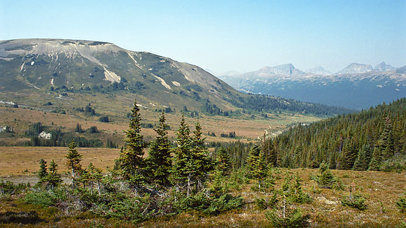 Near tree line now and nearing the Snowbowl campground which is ahead in the distance.