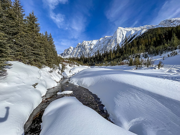 A beautiful day to be out along Headwall Creek.