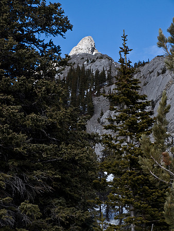 Looking back up the ridge.