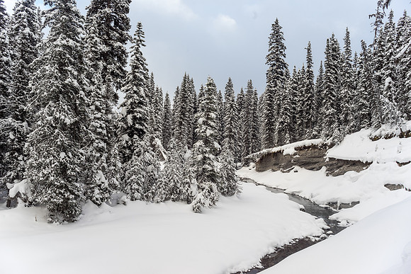 Petain Creek.