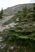 Descending Ha Ling / Miners.
