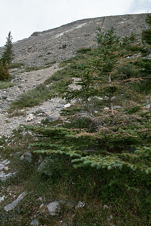 Descending Ha Ling / Miners.