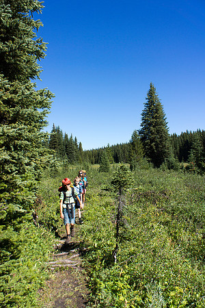A glorious day as we crest Elk Pass.