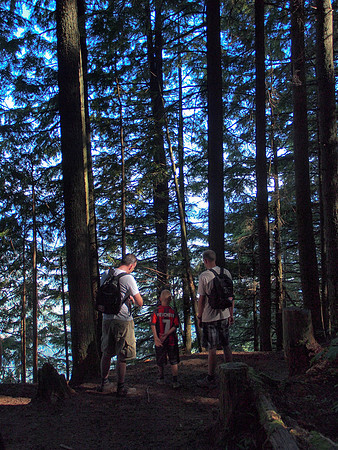 Up through the forest.