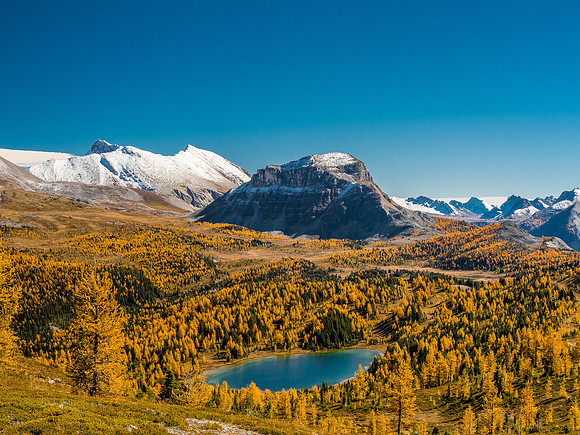 Howard Douglas Lake.
