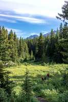 Hiking back along Fox Creek.