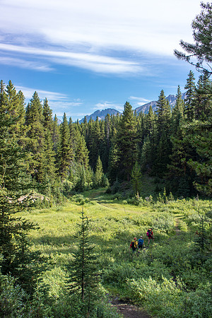 Hiking back along Fox Creek.