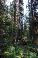 Hiking back up to Elk Pass.
