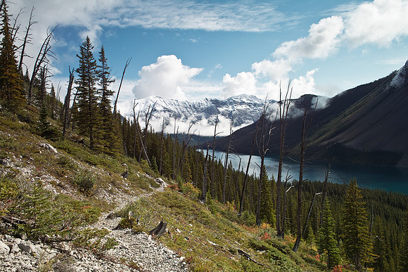 Wonder Pass Trail