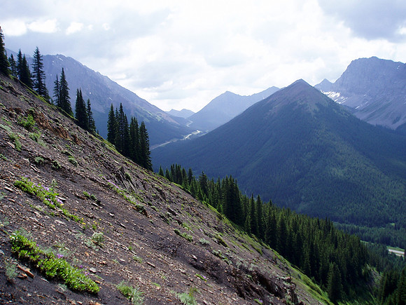 Pocaterra Ridge from the ascent slopes.