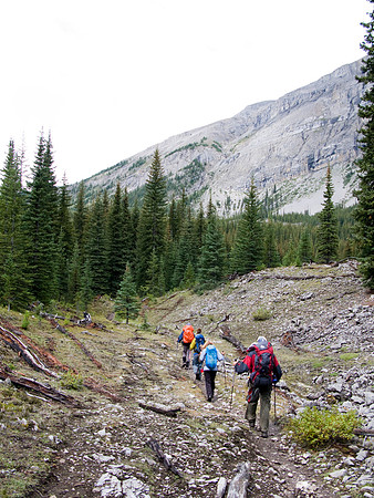 The group trudges up the horse trail to Assiniboine Pass.