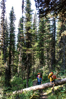 Hiking back up to Elk Pass.