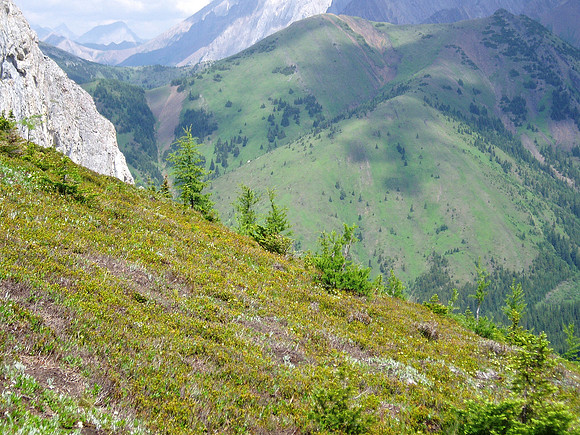 The terrain over the col is sheep heaven!