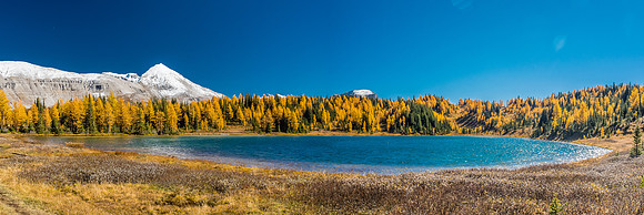 Howard Douglas Lake.