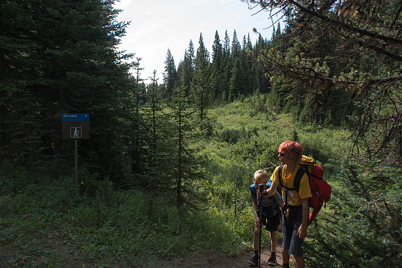 Hiking back along Fox Creek.
