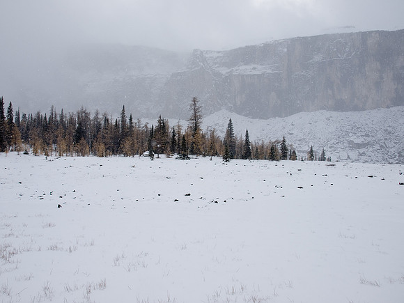 The views have not improved down at Rockbound Lake.
