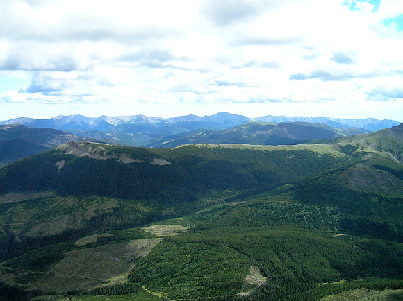 View to the east.