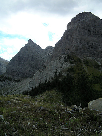 Window (L) and Ward (R) from the way back