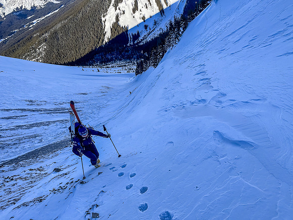 Bootpacking up the last of the skiable terrain.