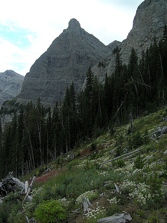 Descending Window Mountain.