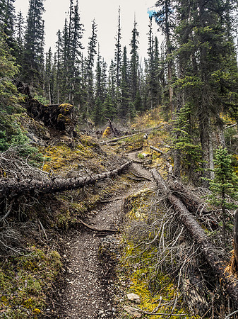 Entering Golden Valley on a good trail that is obviously well maintained.