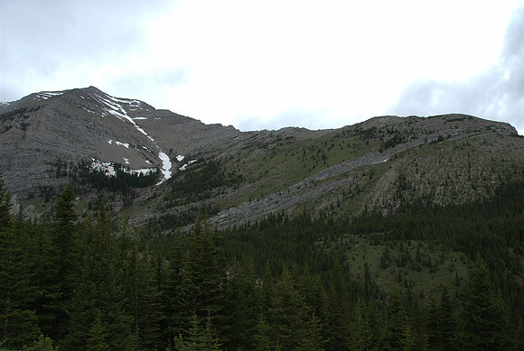 Our first good view of the mountain. We should have trended a pretty hard left from here instead of going straight ahead before going left.