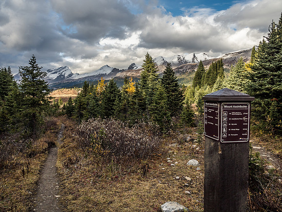 Looking back at Og Meadows with the trail towards Windy Point Ridge and Og Mountain going right and the approach from Og Lake at left.
