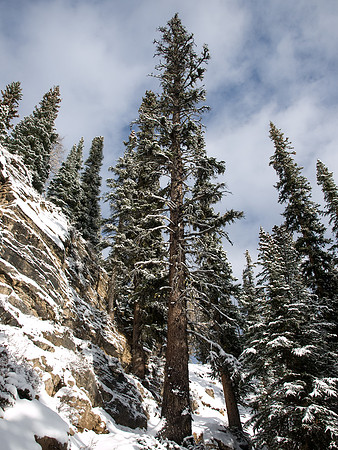 Ascending the headwall beneath Rockbound Lake.