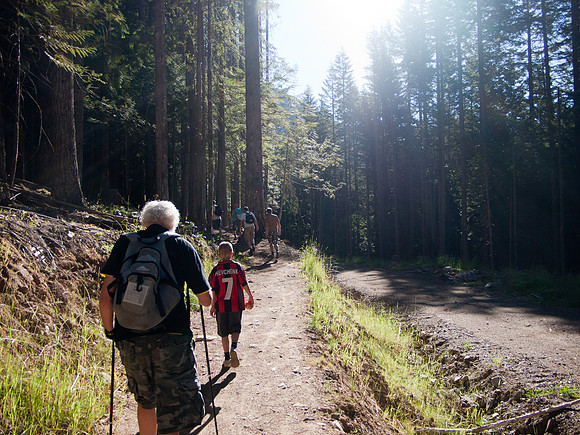 Just after crossing a logging road. The trail gets much steeper after this point.