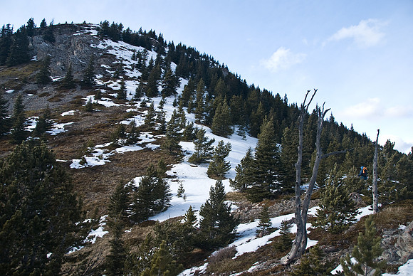 Ascending to the summit.