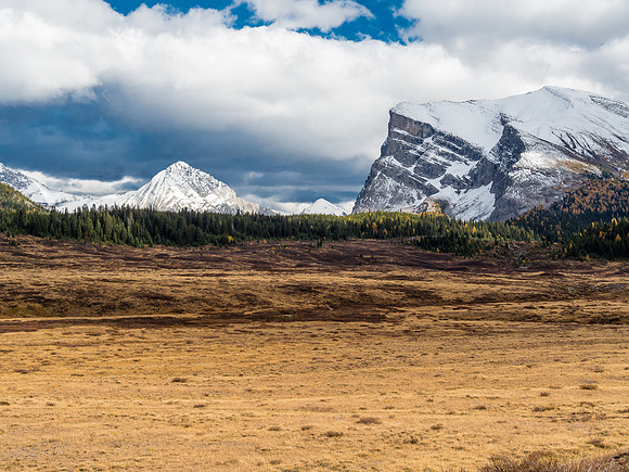 Nice afternoon lighting looking past Cascade Rock (R) towards Mount Mercer.